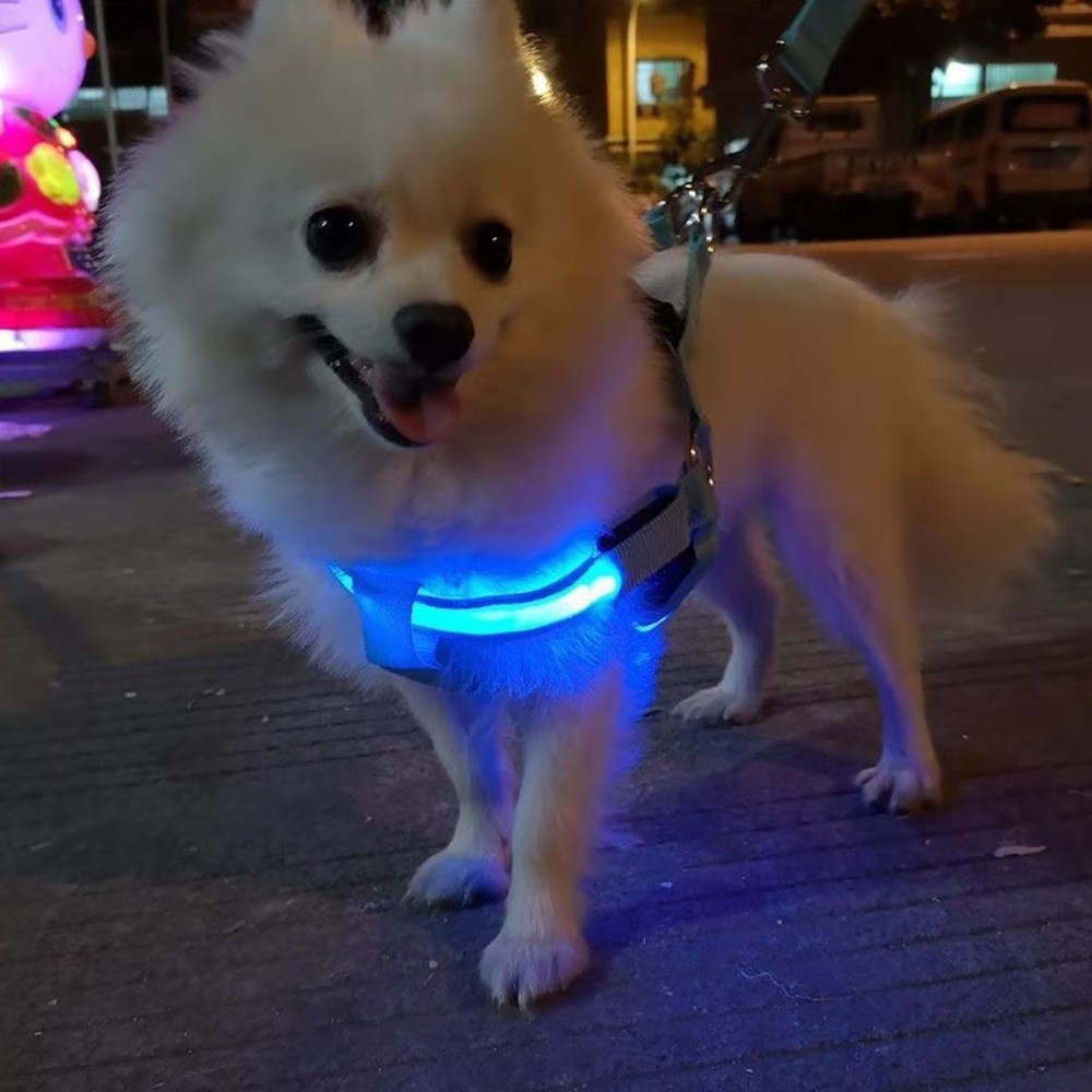 Tech Dog Accessories - Nefes Alabilen Işıklı LED Köpek Tasması