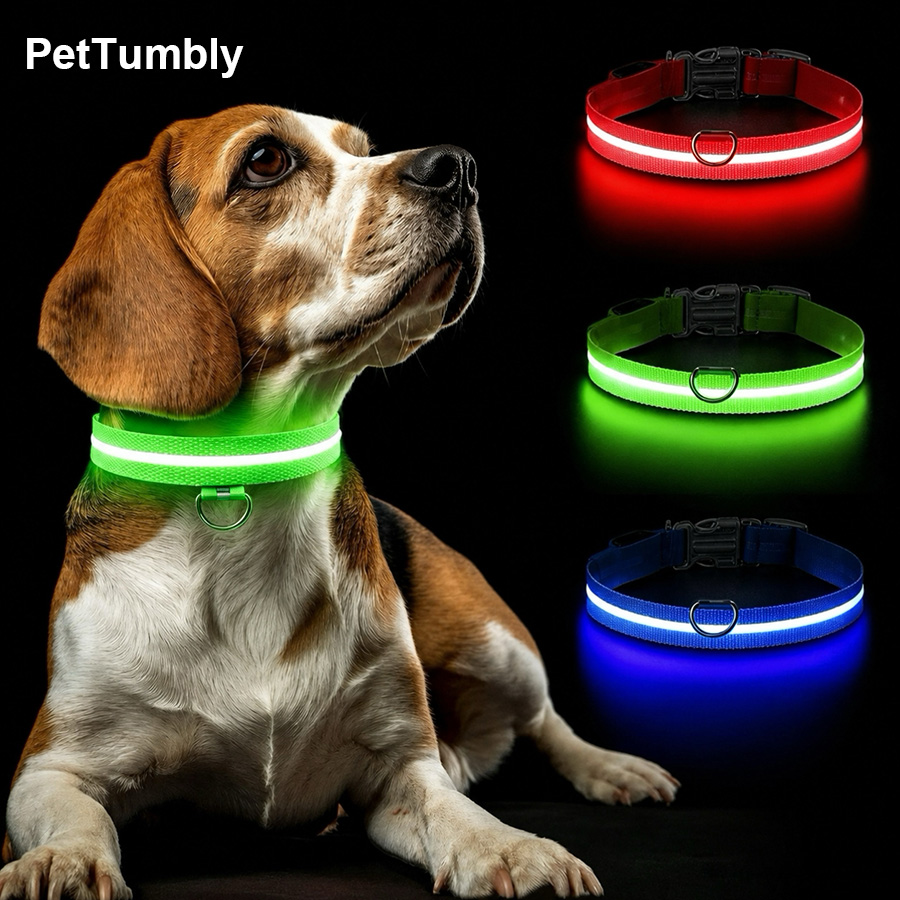 Tech Dog Accessories - 3 Modlu Köpek Işıklı Şarj Edilebilir