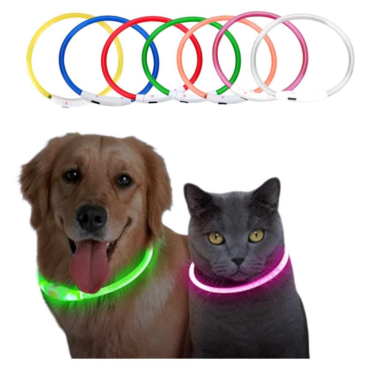 Tech Dog Accessories - Led Işık köpek tasması Ayrılabilir Parlayan