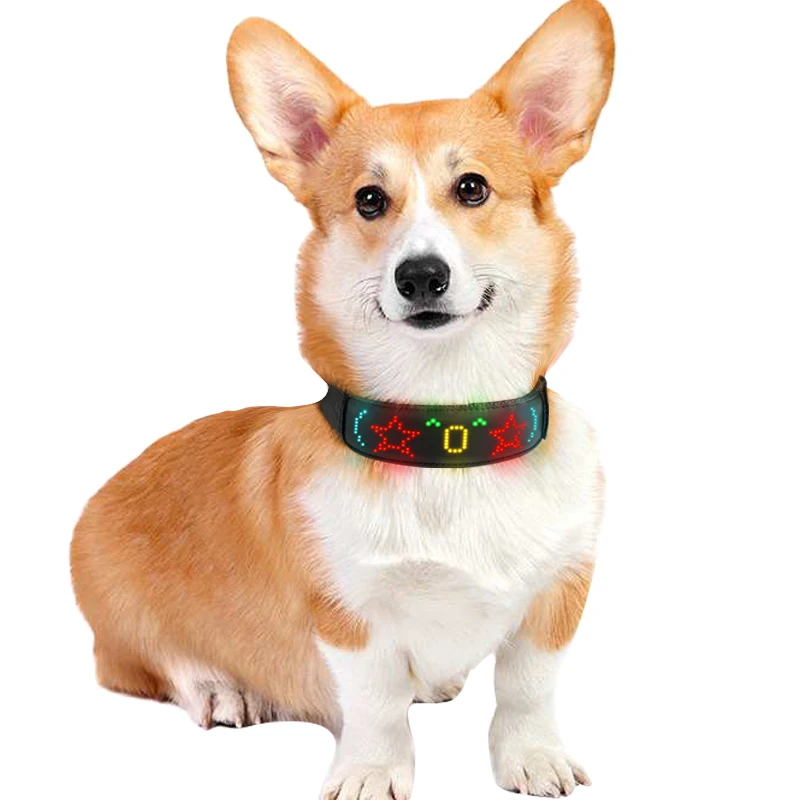 Çok Renkli Pet LED Köpek Tasma - Tech Dog Accessories incelemesi ve fiyatı