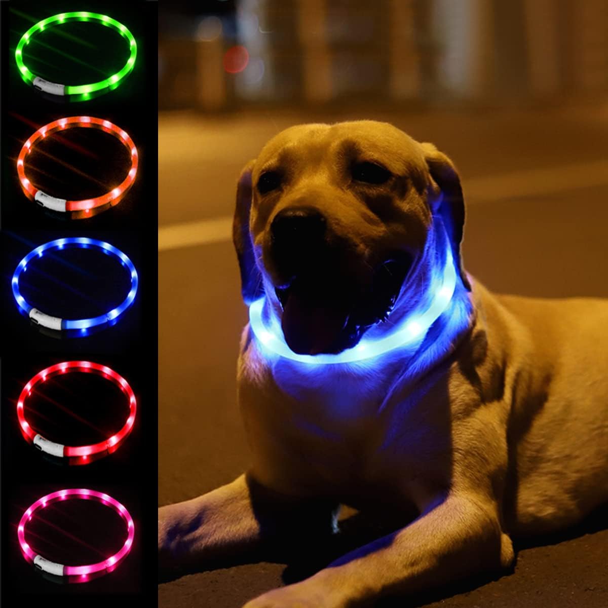 Silikon LED Köpek Tasması, USB - Tech Dog Accessories incelemesi ve fiyatı