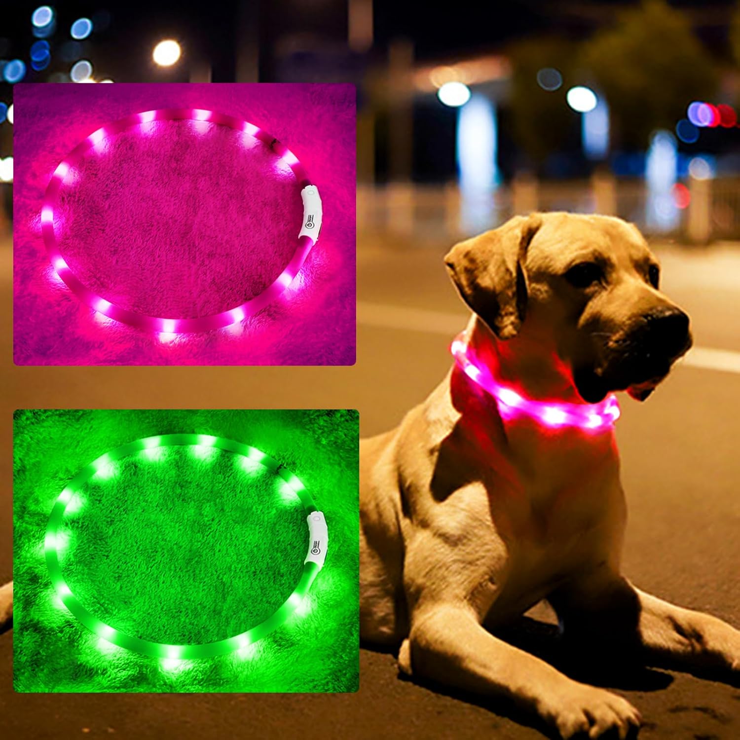 Silikon LED Köpek Tasması, USB - Tech Dog Accessories incelemesi ve fiyatı