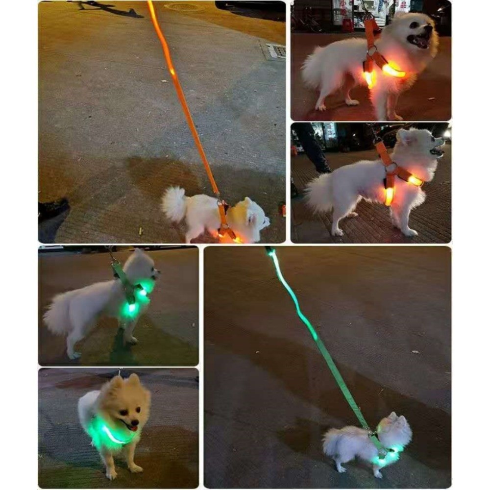 Nefes Alabilen Işıklı LED Köpe - Tech Dog Accessories incelemesi ve fiyatı