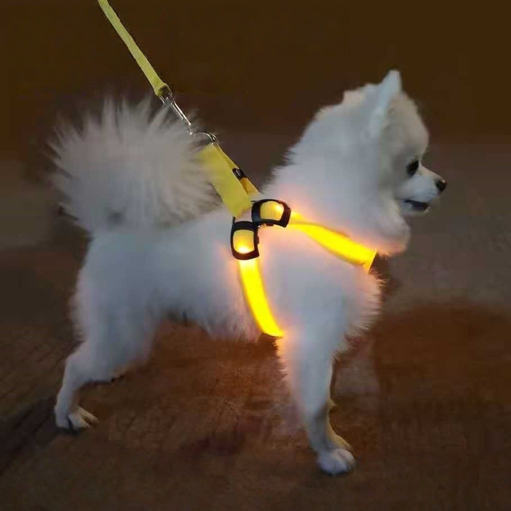 Nefes Alabilen Işıklı LED Köpe - Tech Dog Accessories incelemesi ve fiyatı