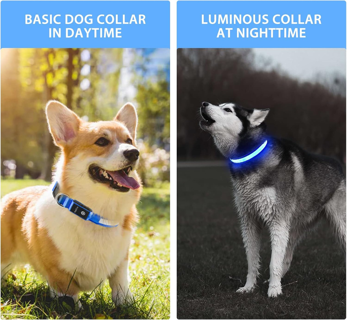 USB LED Köpek Tasması Işıkları - Tech Dog Accessories incelemesi ve fiyatı