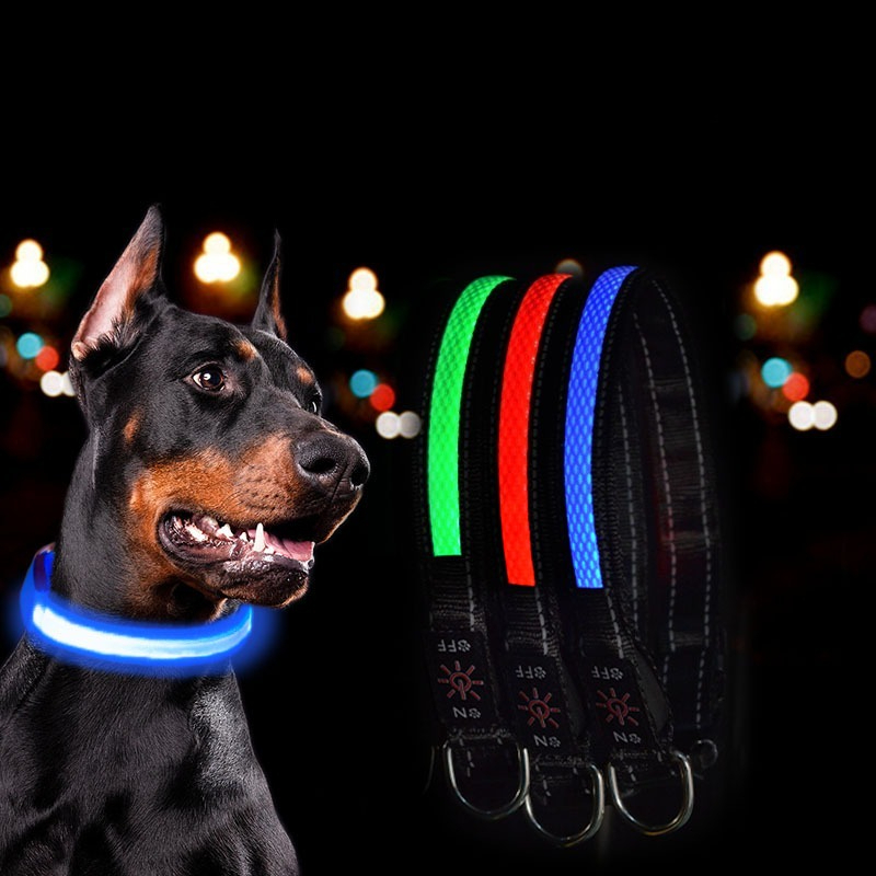 USB LED Köpek Tasması Işıkları - Tech Dog Accessories incelemesi ve fiyatı