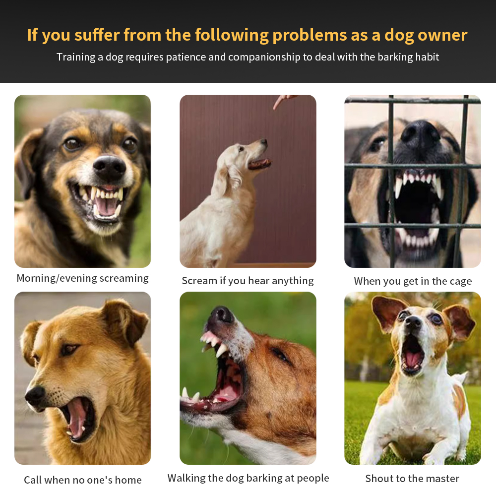 Anti Bark Köpek Tasması Elektr - Tech Dog Accessories incelemesi ve fiyatı