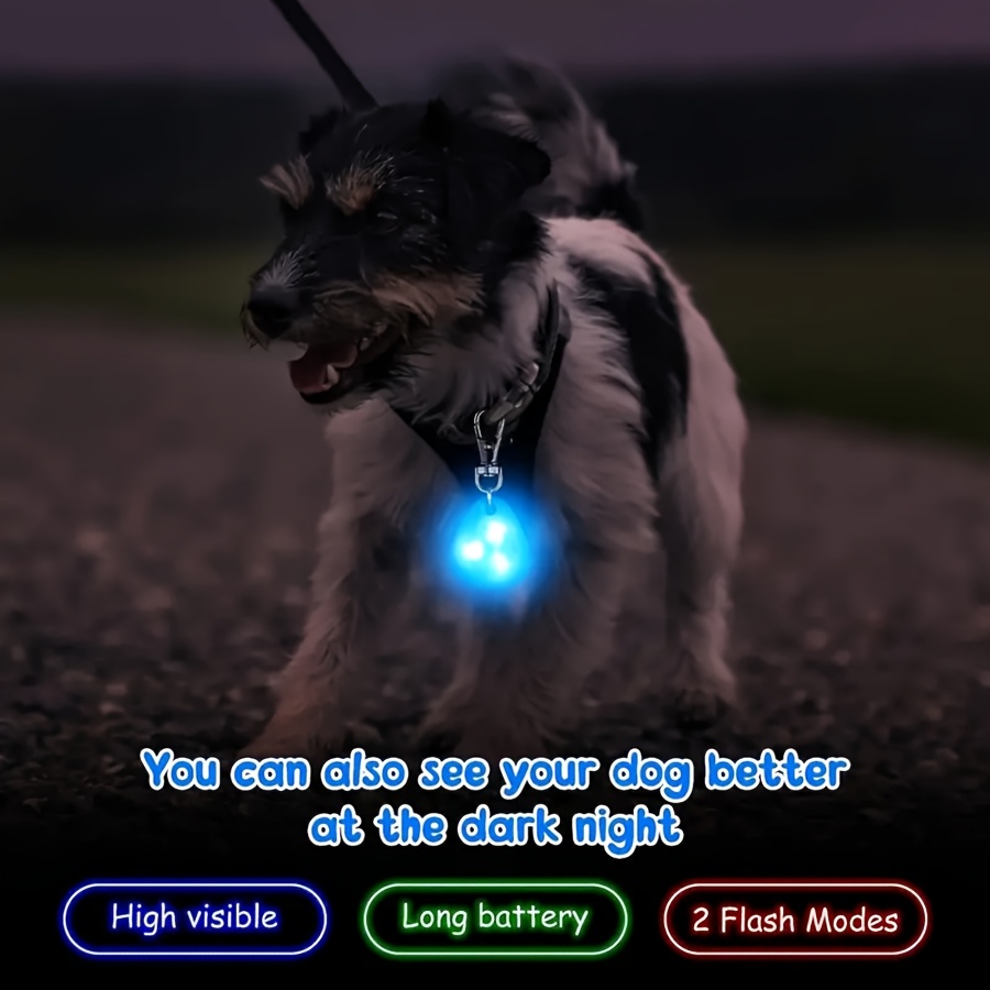 LED Evcil Hayvan Tasma Lambası - Tech Dog Accessories incelemesi ve fiyatı
