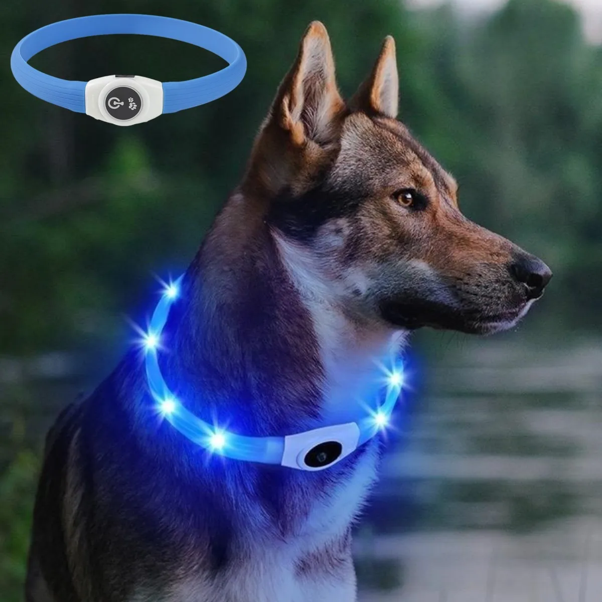 Yeni Led Işıklı köpek tasması  - Tech Dog Accessories incelemesi ve fiyatı