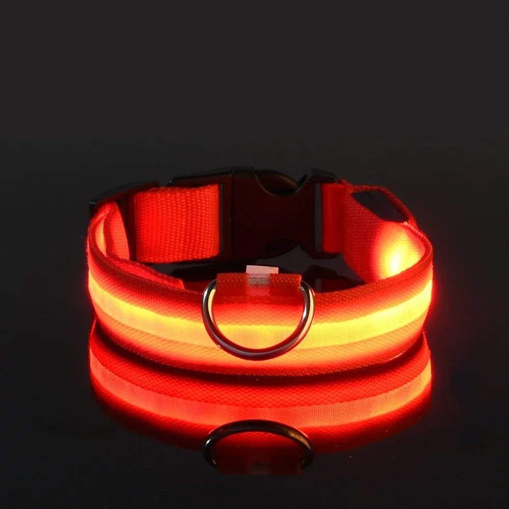 Köpek Tasması Naylon LED Gece  - Tech Dog Accessories incelemesi ve fiyatı