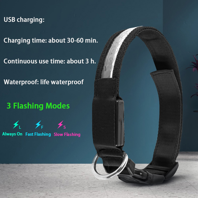 Kazınmış KIMLIK LED köpek tasm - Tech Dog Accessories incelemesi ve fiyatı