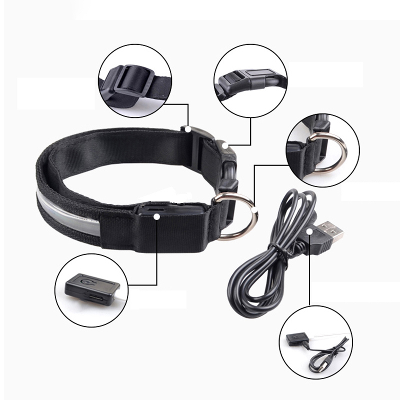 Kazınmış KIMLIK LED köpek tasm - Tech Dog Accessories incelemesi ve fiyatı