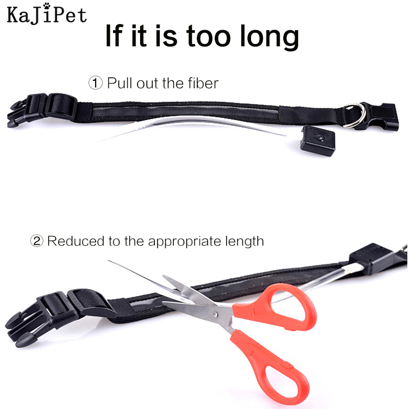 Kazınmış KIMLIK LED köpek tasm - Tech Dog Accessories incelemesi ve fiyatı